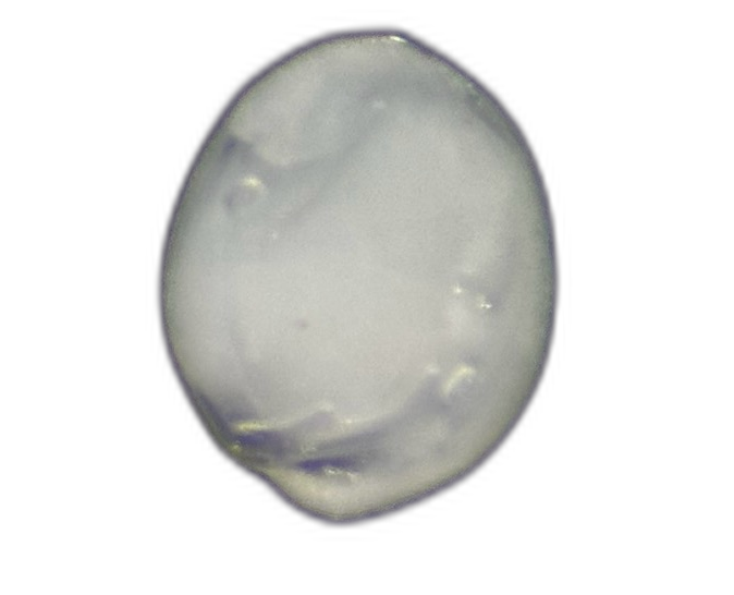 Eggs — 1147Q53H1