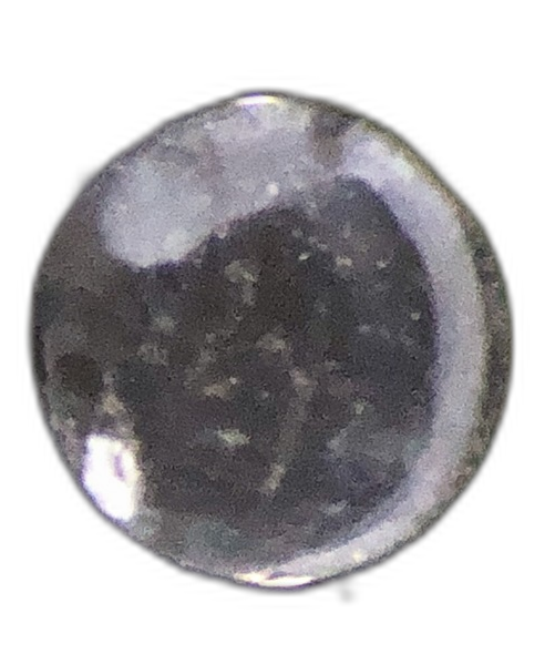 Eggs — 199B75H3E