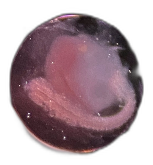 Eggs — 232Q148H7E