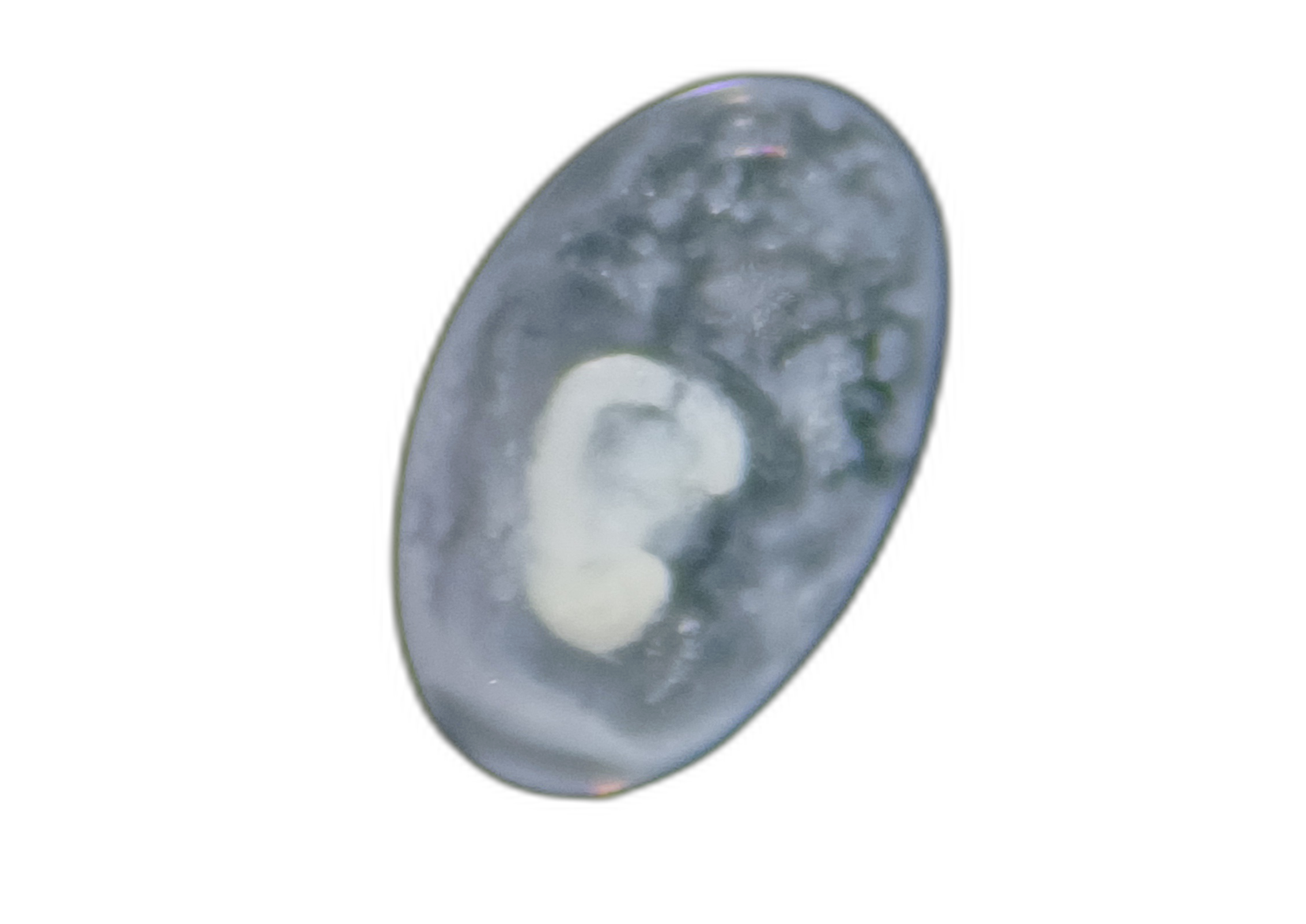 Larvae — 471H17H1L