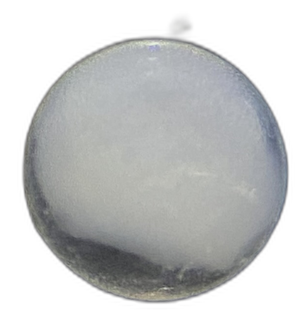 Specimen image