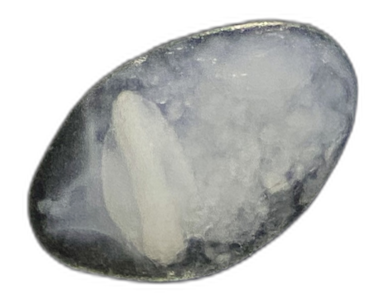 Specimen image