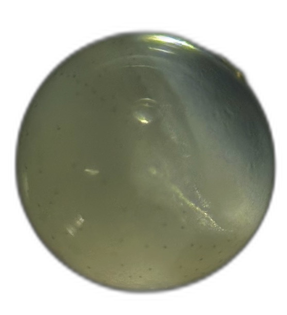 Specimen image
