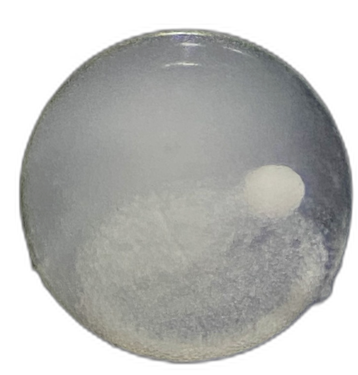 Specimen image