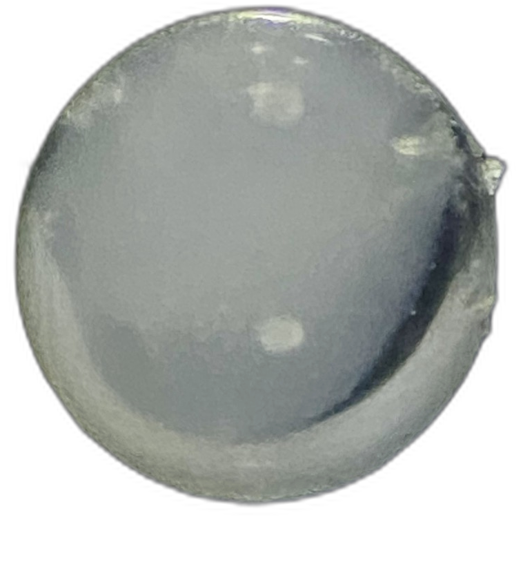 Specimen image