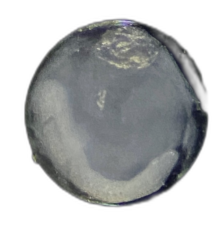 Specimen image