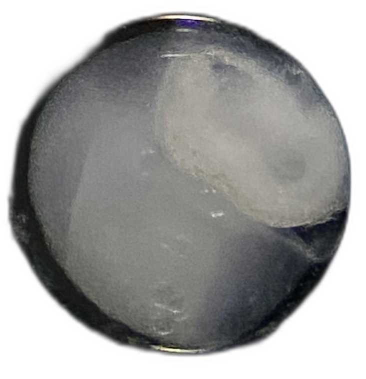 Specimen image