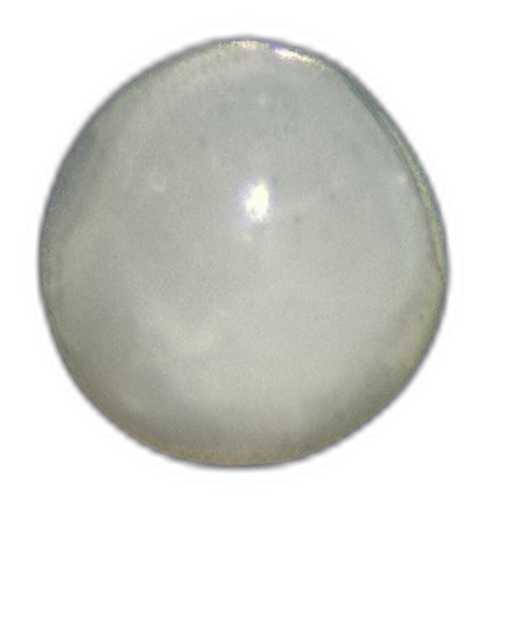 Specimen image