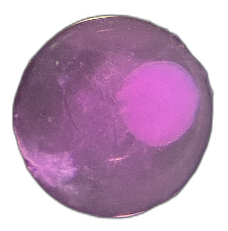 Specimen image