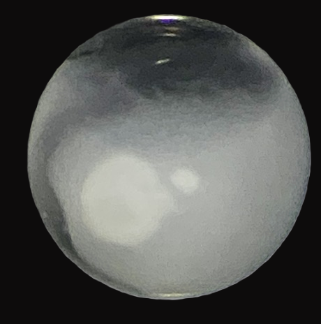 Specimen image