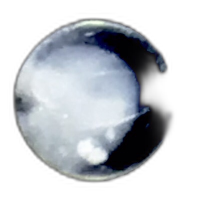 Specimen image