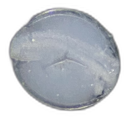 Specimen image