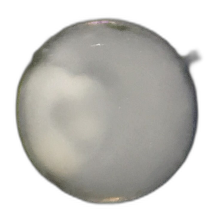 Specimen image