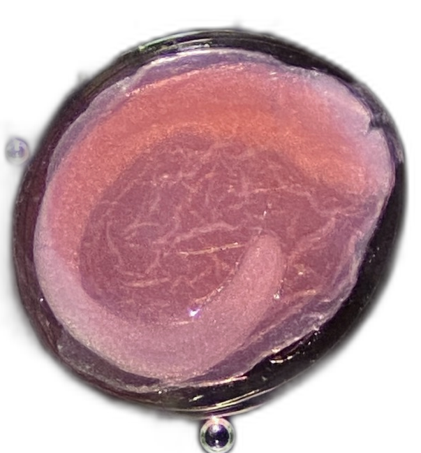 Specimen image