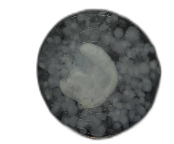 Specimen image