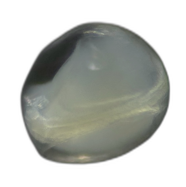 Specimen image