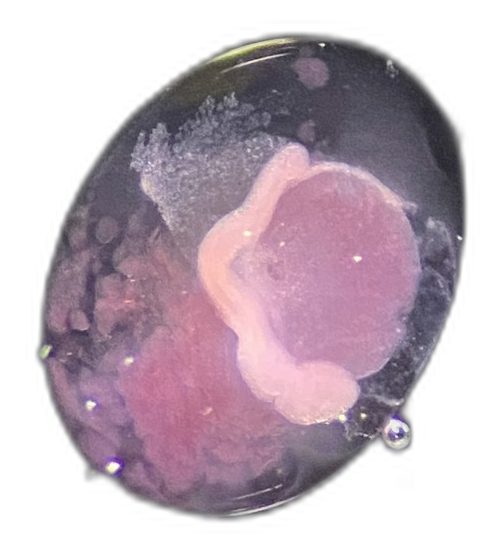 Specimen image