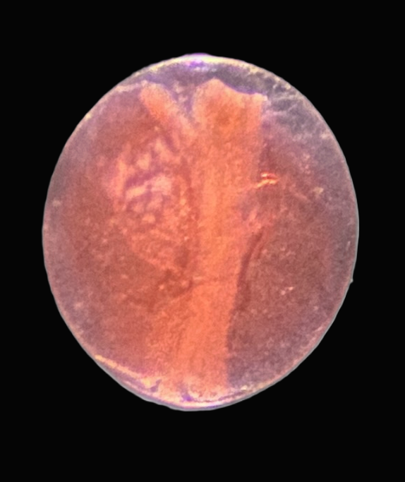 Specimen image
