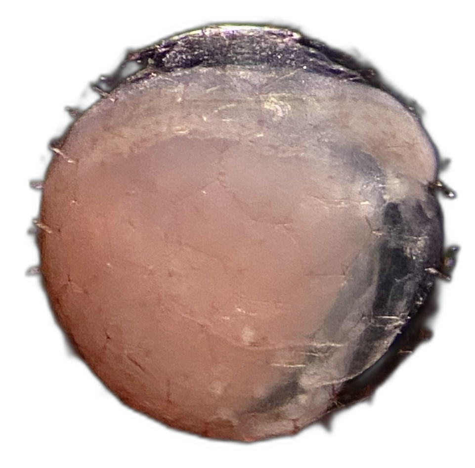 Specimen image