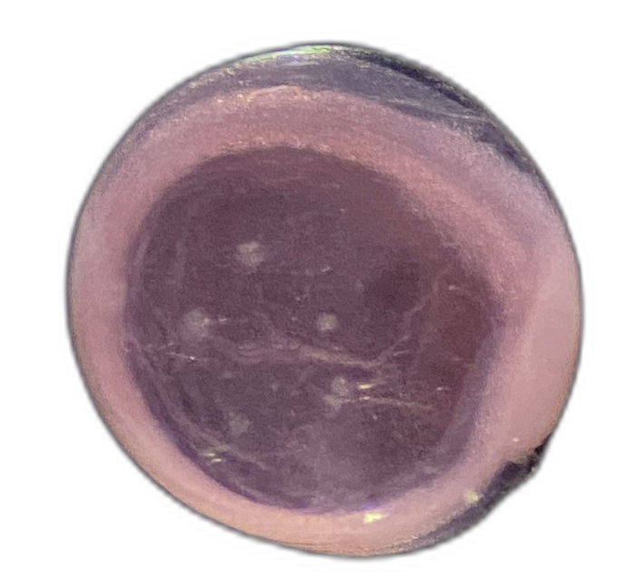 Specimen image