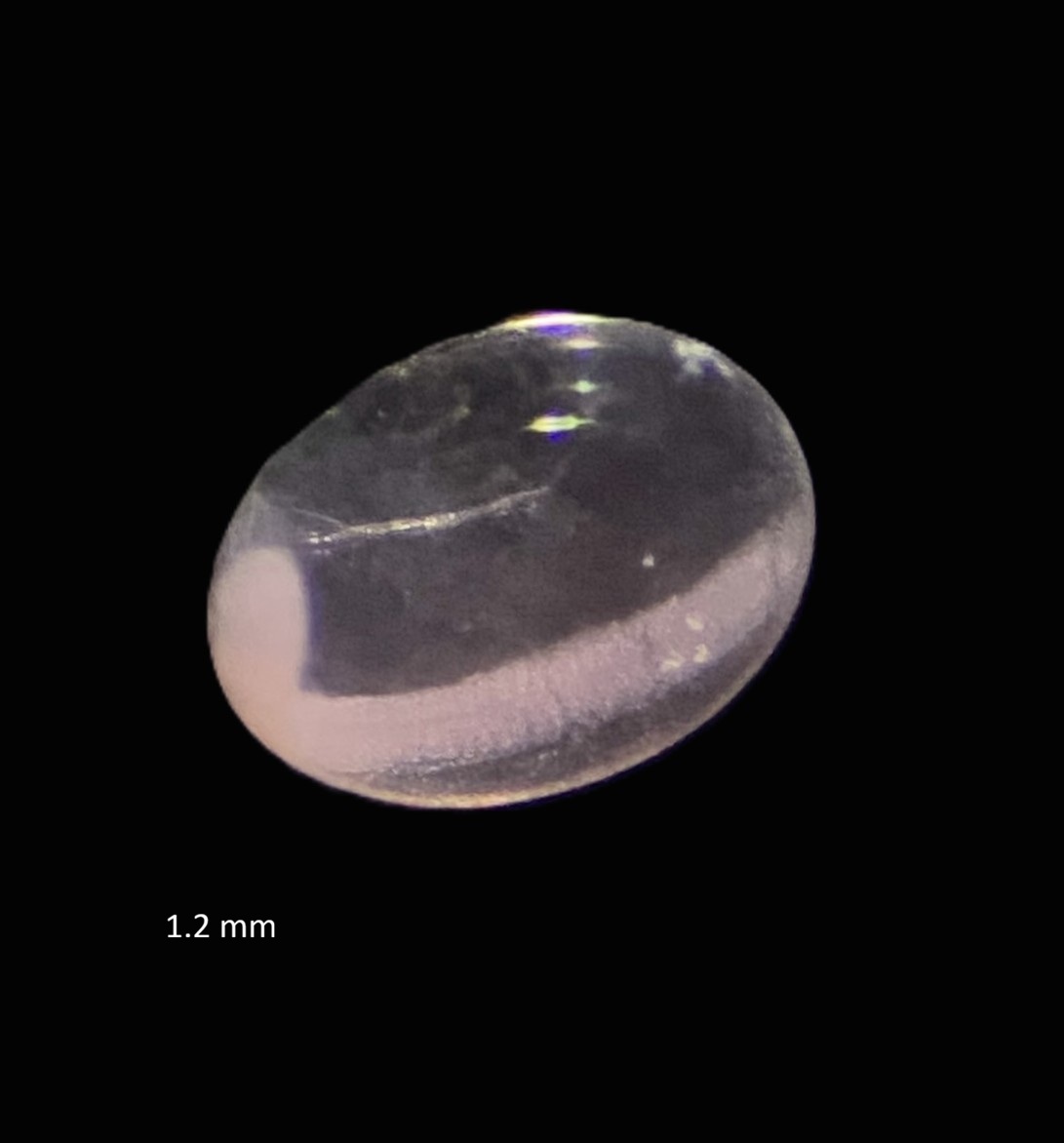 Specimen image