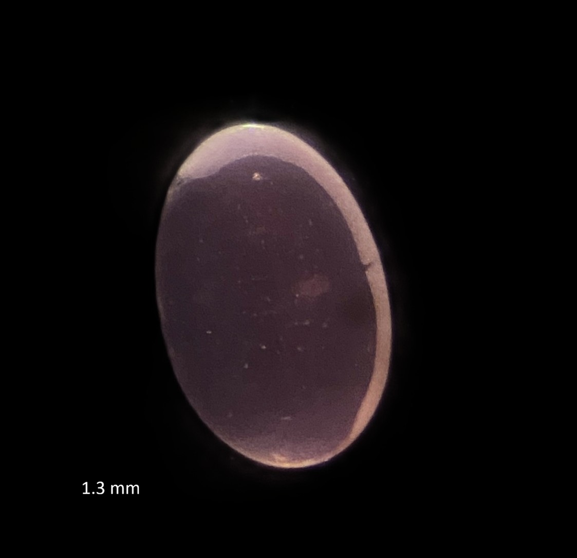Specimen image