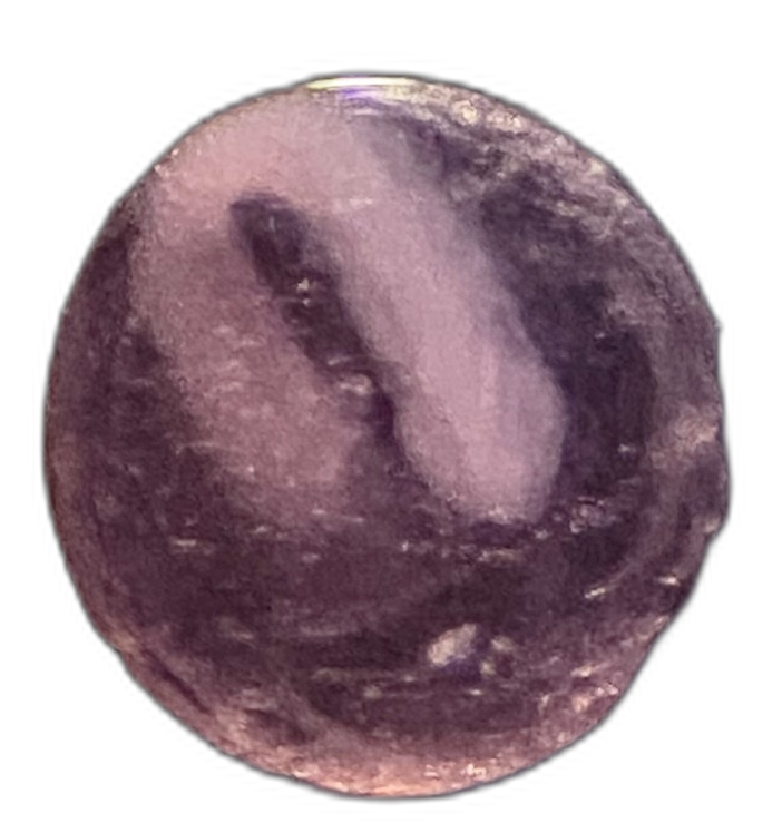 Specimen image