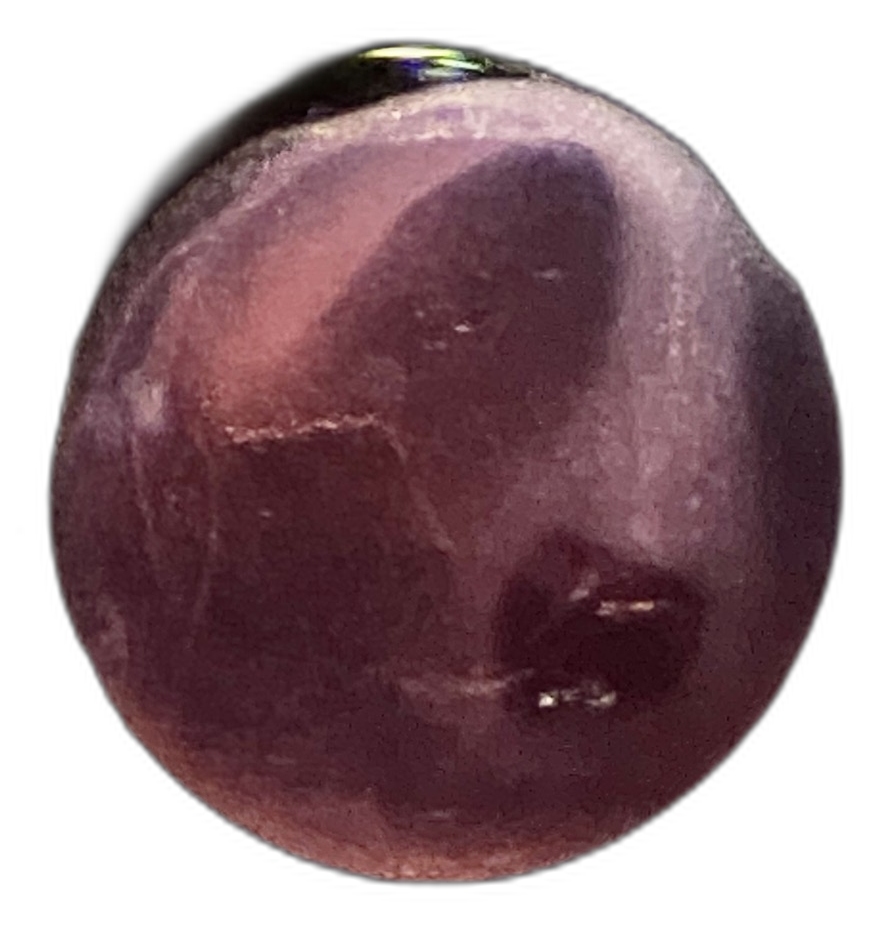 Specimen image