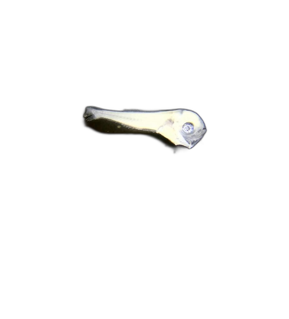 Specimen image