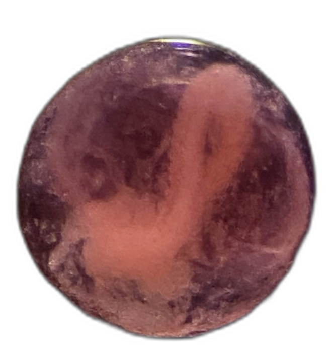 Specimen image