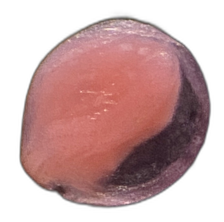 Specimen image