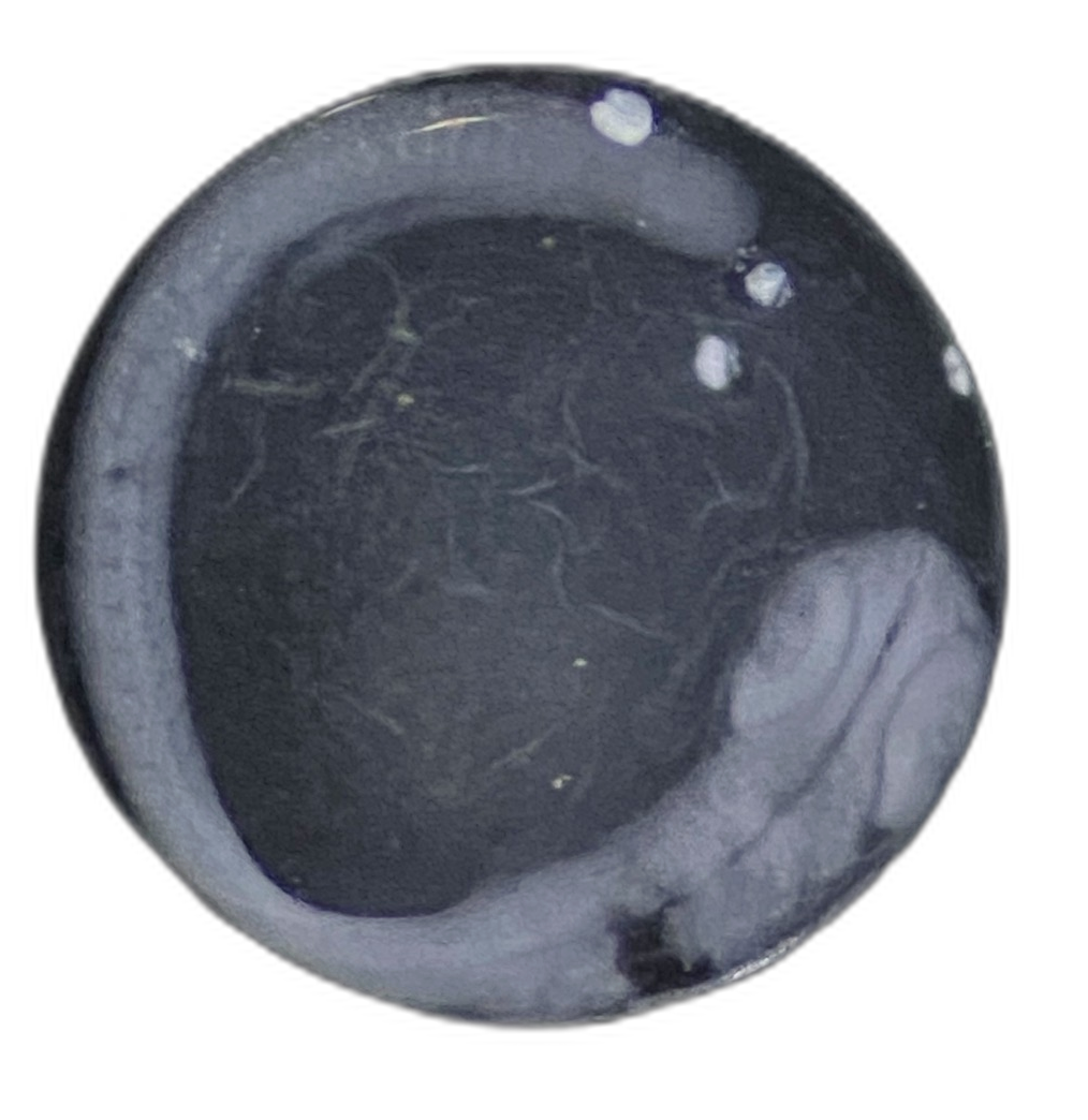 Specimen image