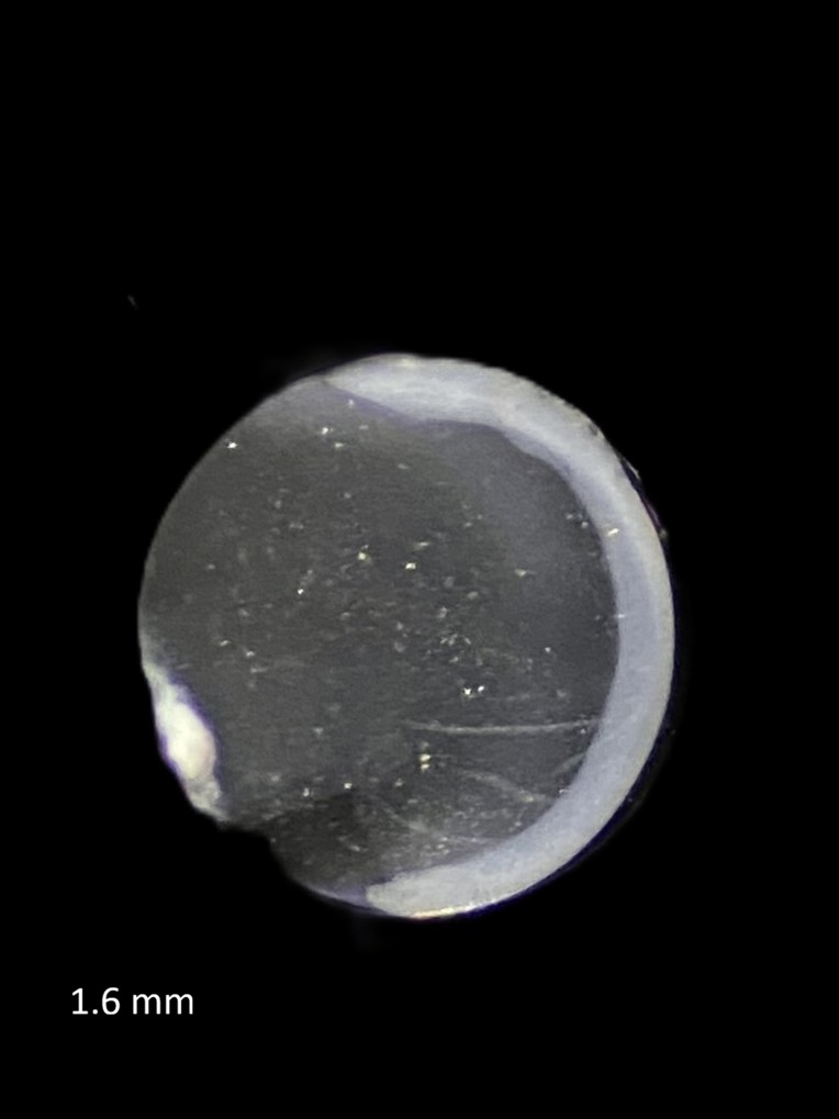 Specimen image