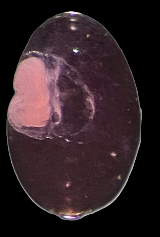 Specimen image