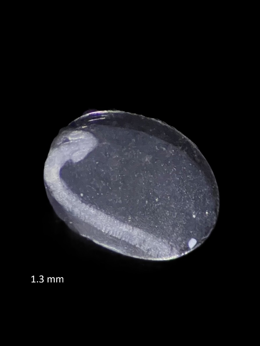 Specimen image