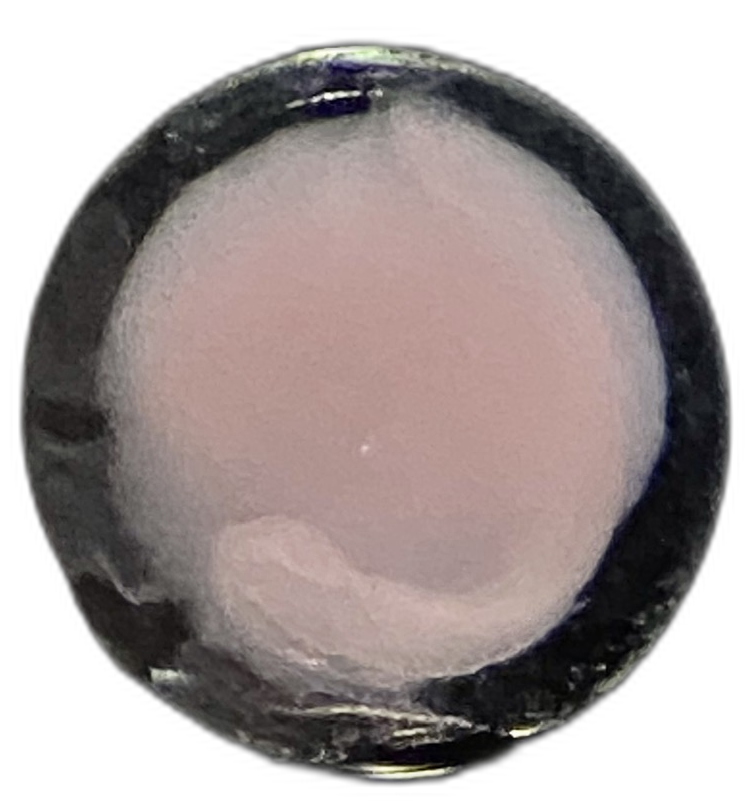 Specimen image