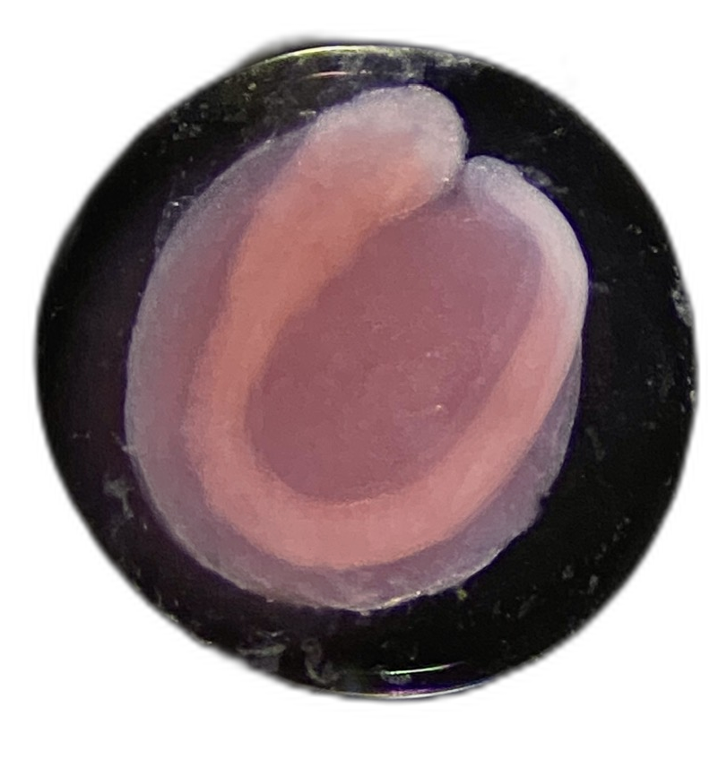 Specimen image