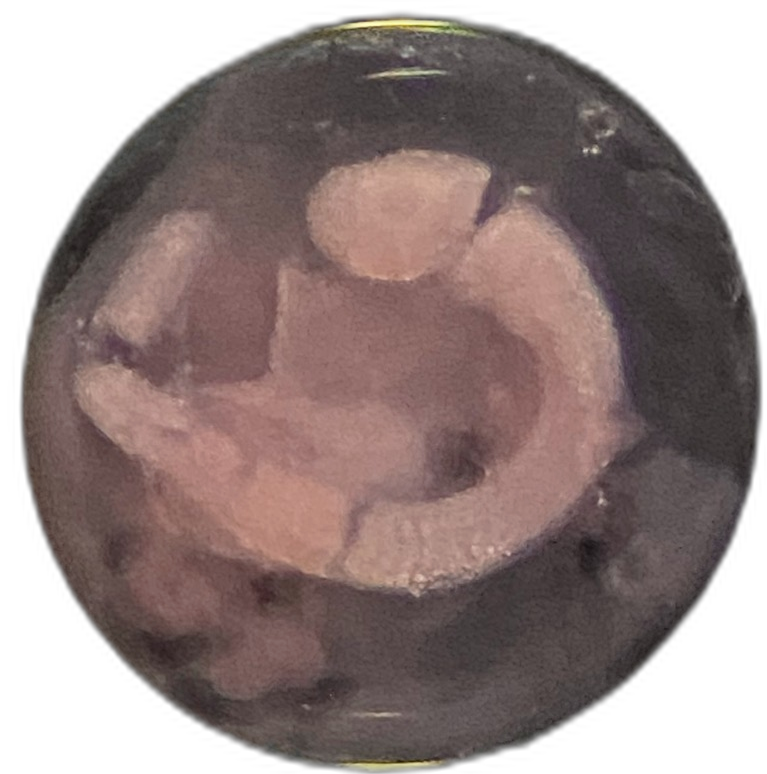Specimen image