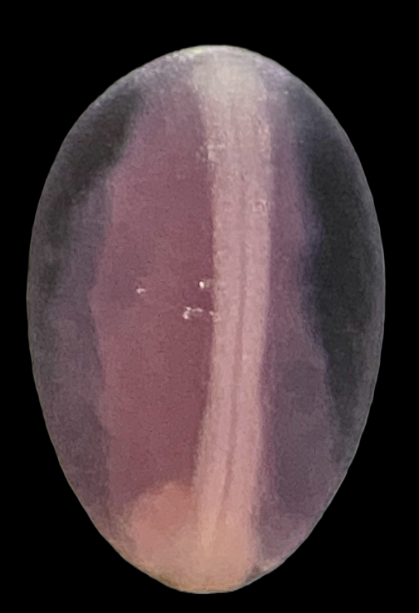Specimen image