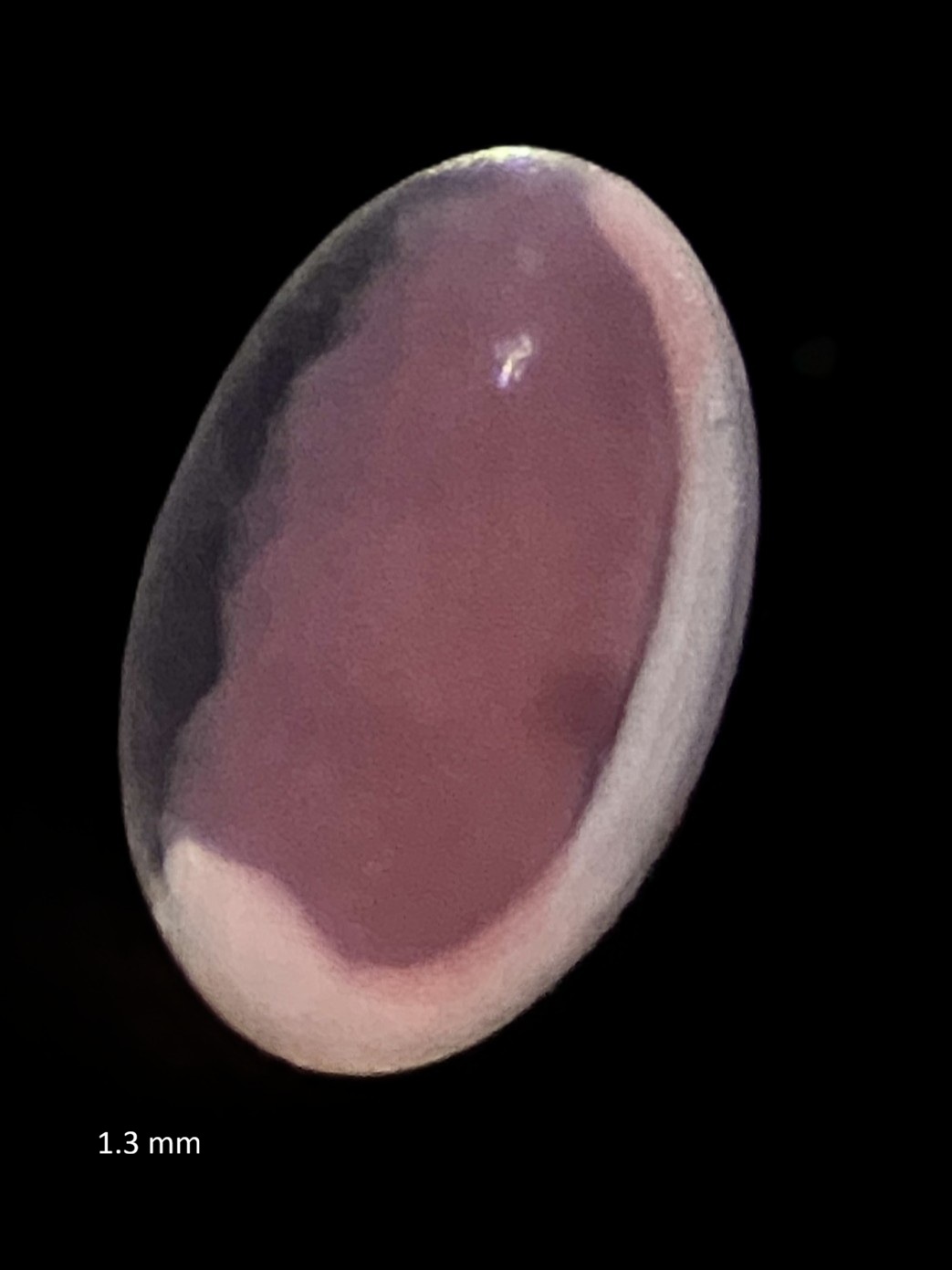 Specimen image