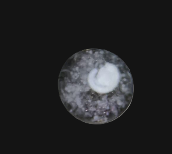 Specimen image