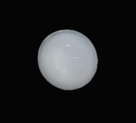 Specimen image