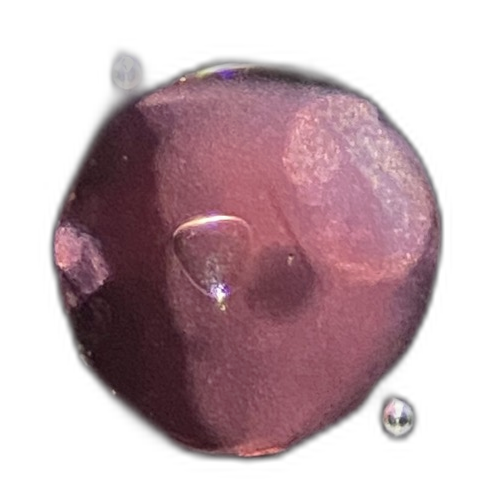 Specimen image