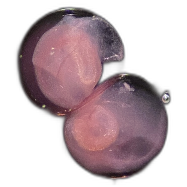 Specimen image