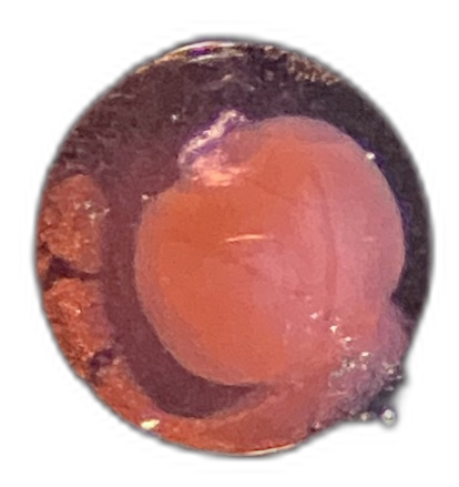 Specimen image