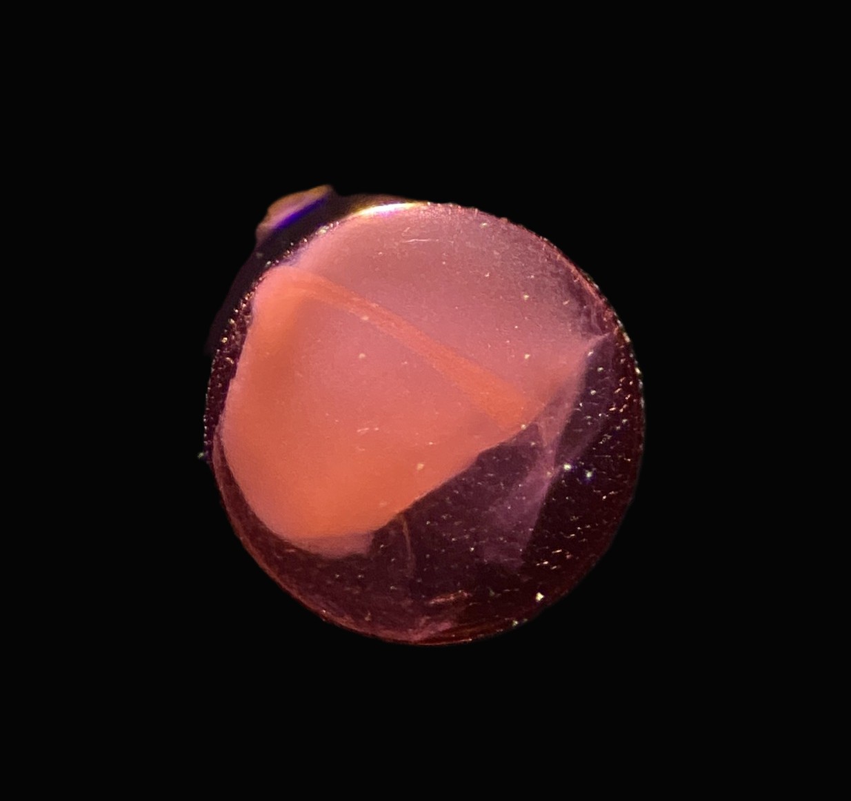 Specimen image
