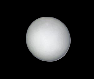 Specimen image