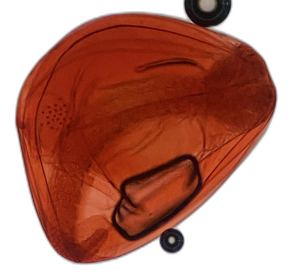 Specimen image