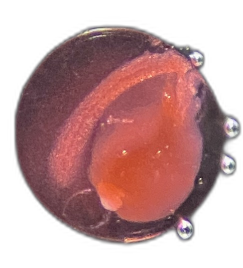 Specimen image