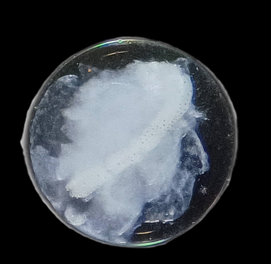 Specimen image